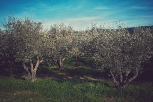 Considérer la grâce de Dieu dans ma vie à travers le Psaume 107